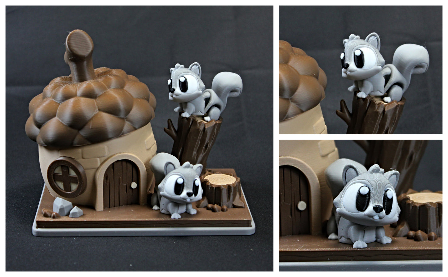 Squirrel Habitat