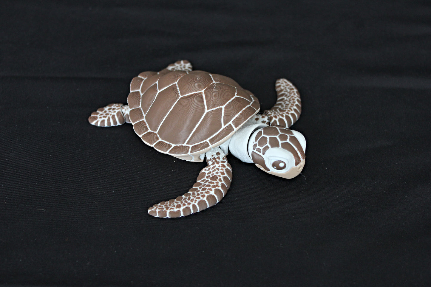 Sea Turtle