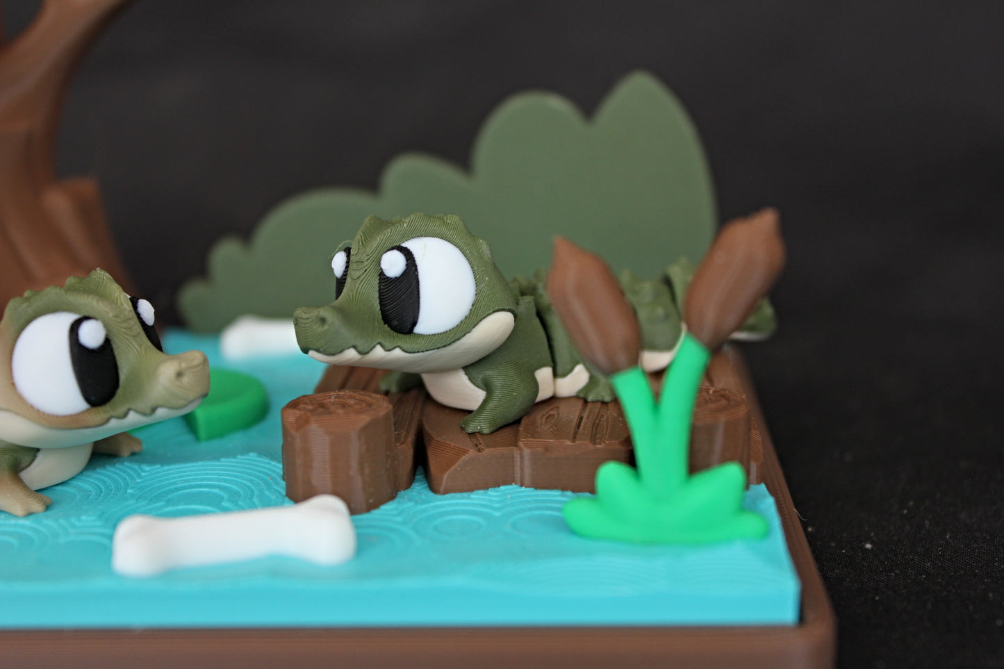 Swamp Habitat