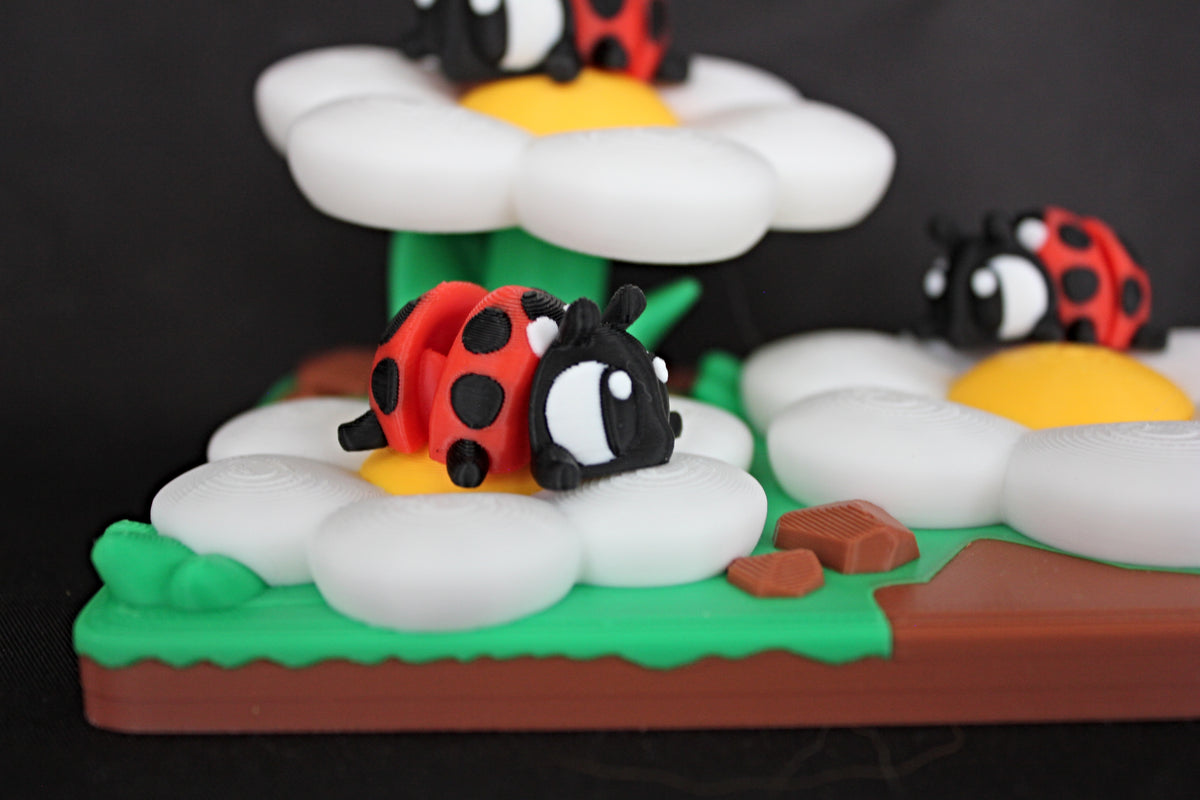 Ladybug Habitat