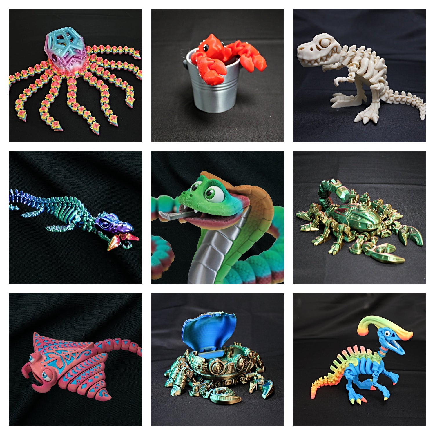 Miscellaneous Animals