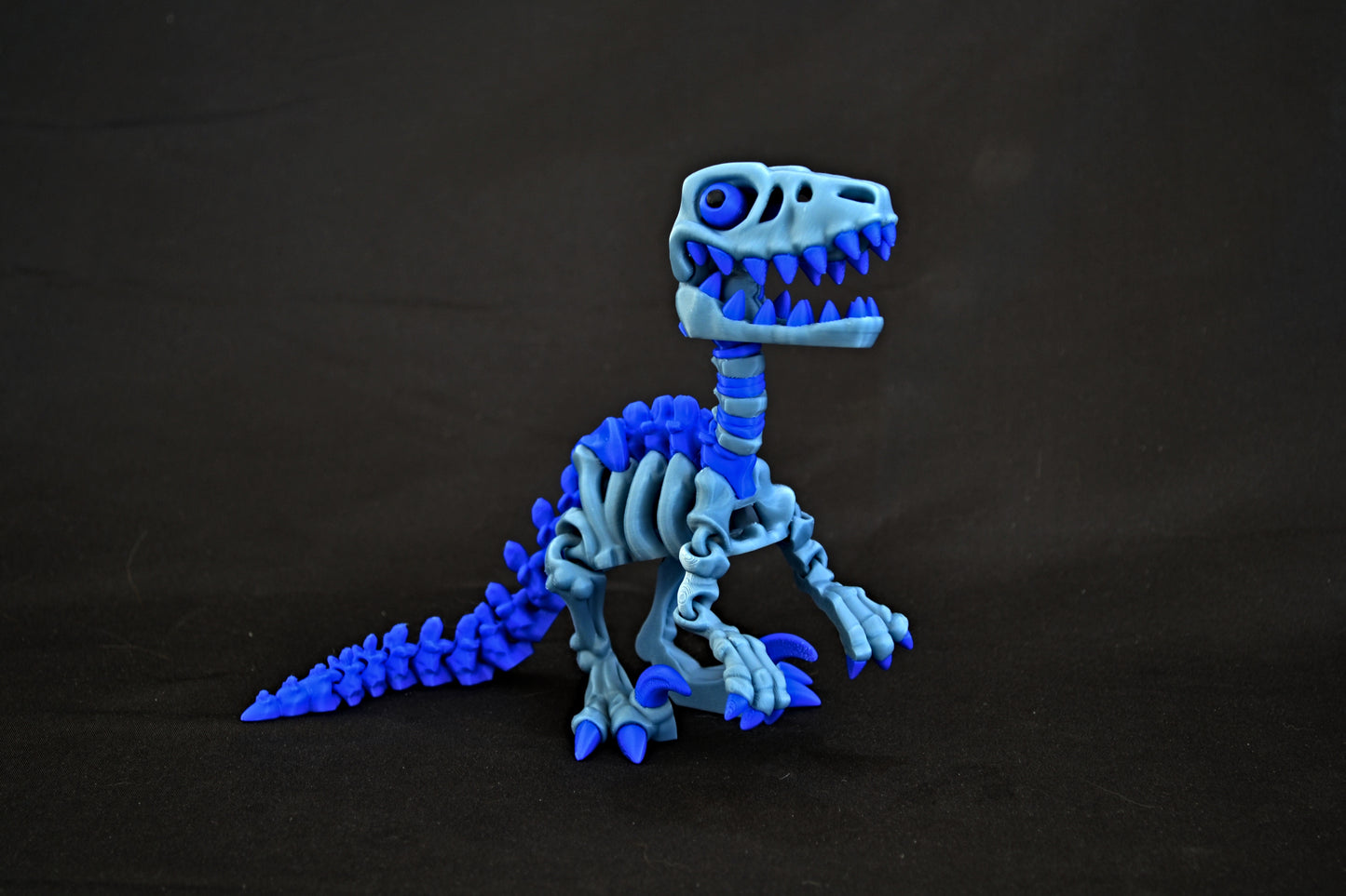 Flexi Dinosaur Skeletons