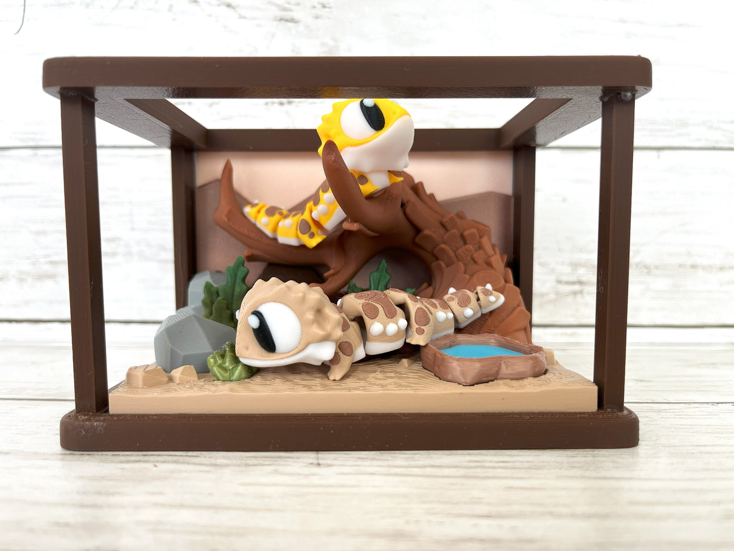 Bearded Dragon Terrarium