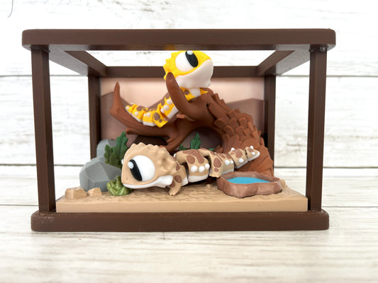 Bearded Dragon Terrarium
