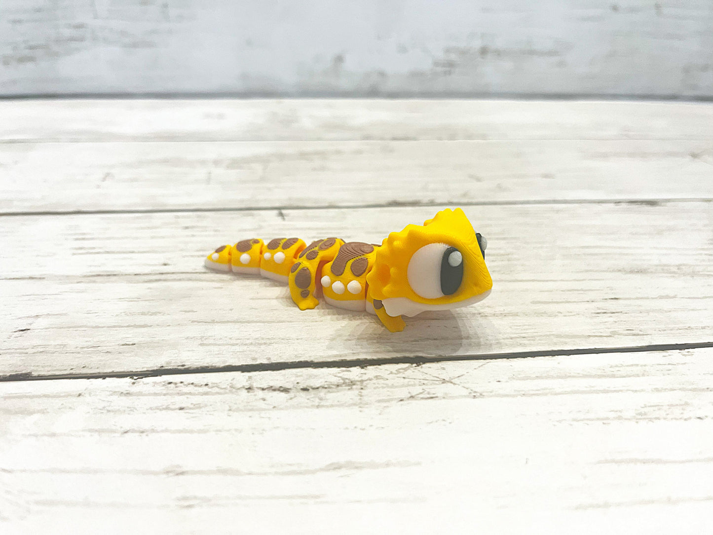 Bearded Dragon Terrarium