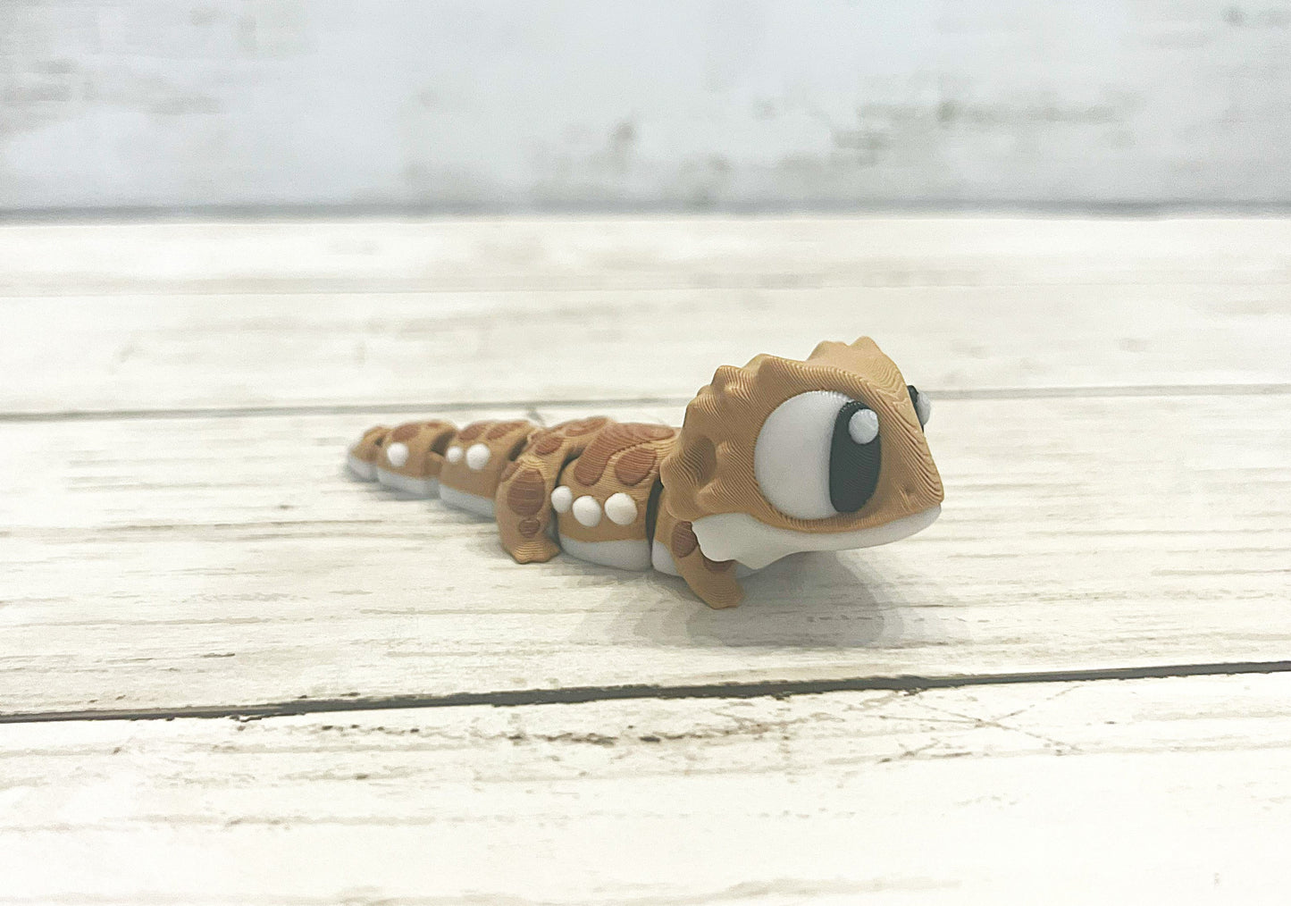 Bearded Dragon Terrarium