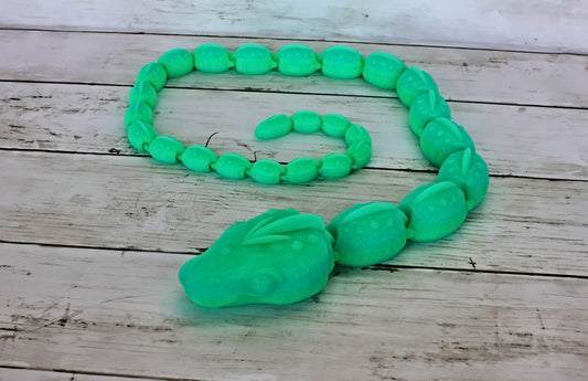 Boa Snake