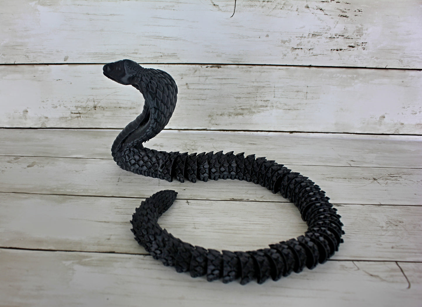 Cobra Snake