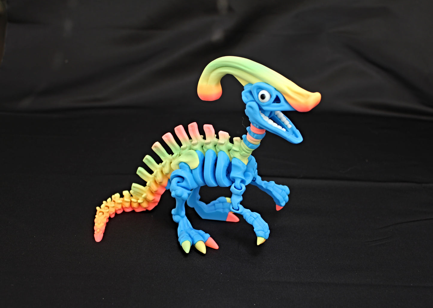 Flexi Dinosaur Skeletons