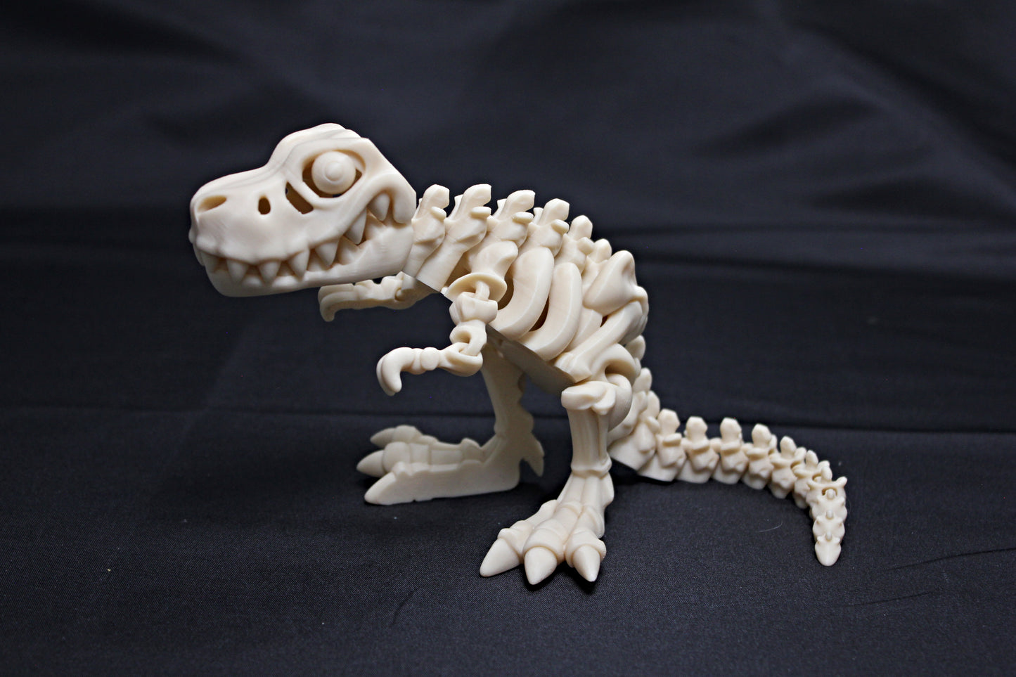 Flexi Dinosaur Skeletons