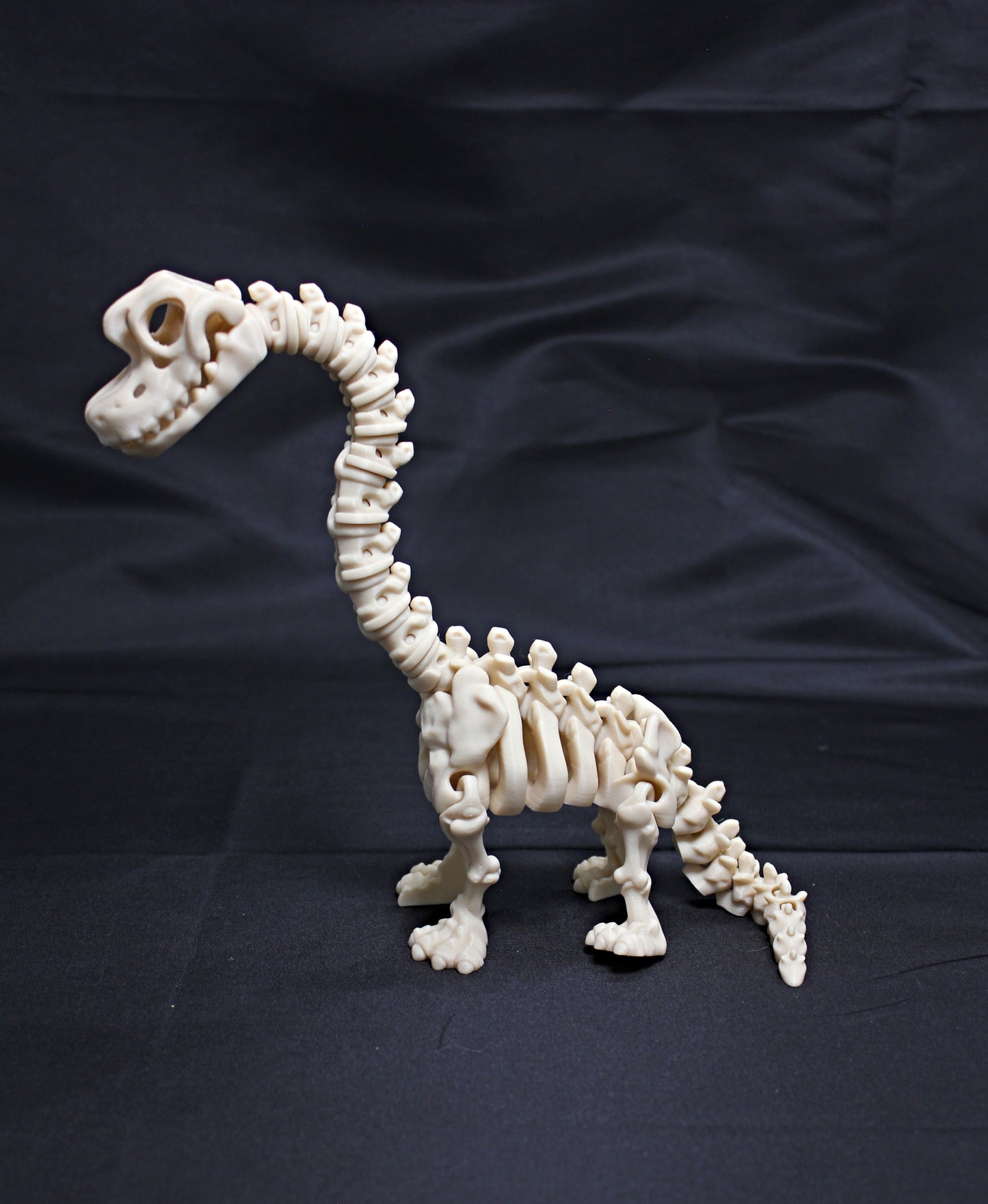 Flexi Dinosaur Skeletons