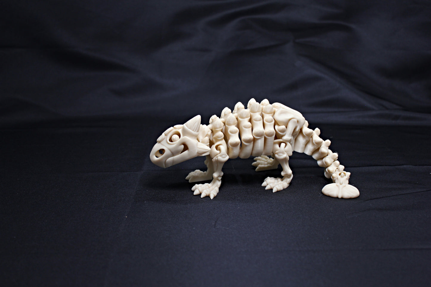 Flexi Dinosaur Skeletons