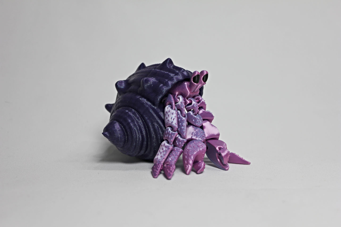 Hermit Crabs