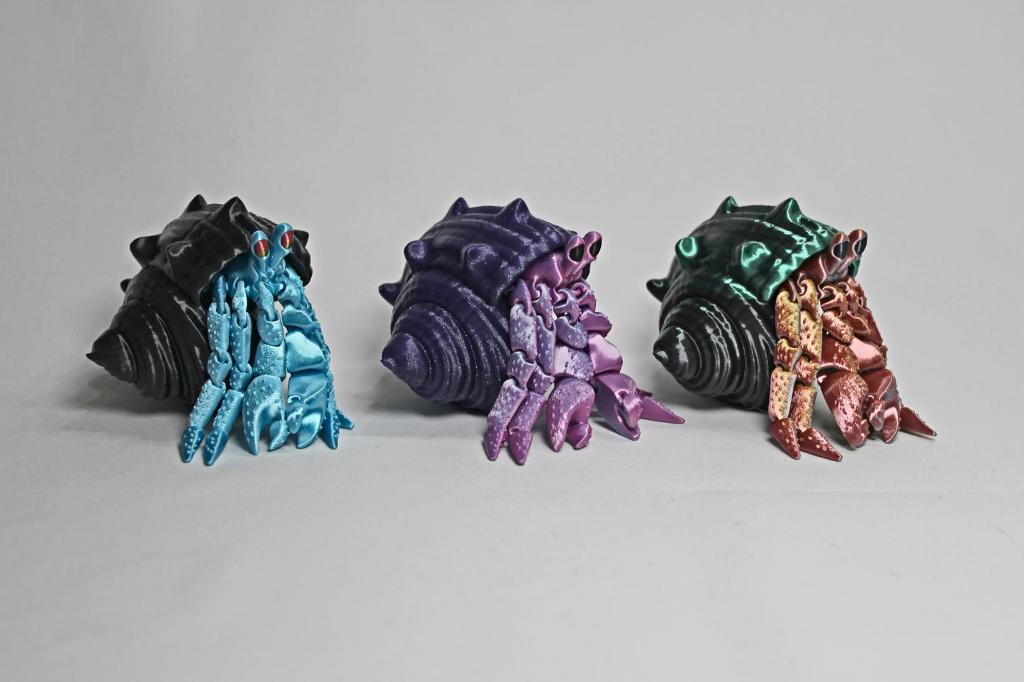 Hermit Crabs