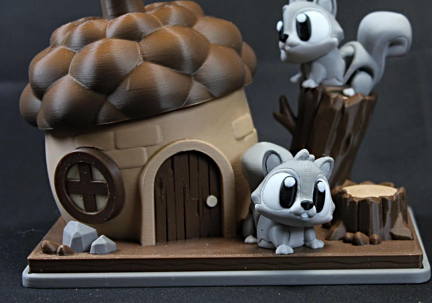 Squirrel Habitat