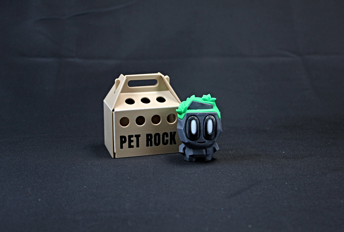 Rock Pets