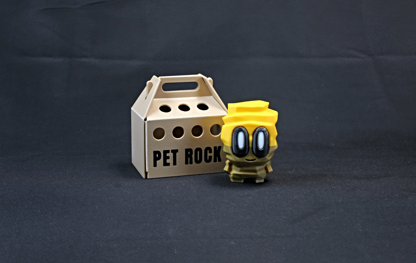 Rock Pets