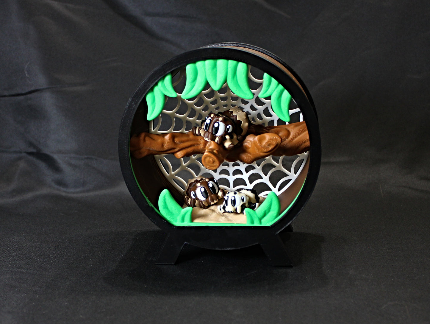 Spider Terrarium