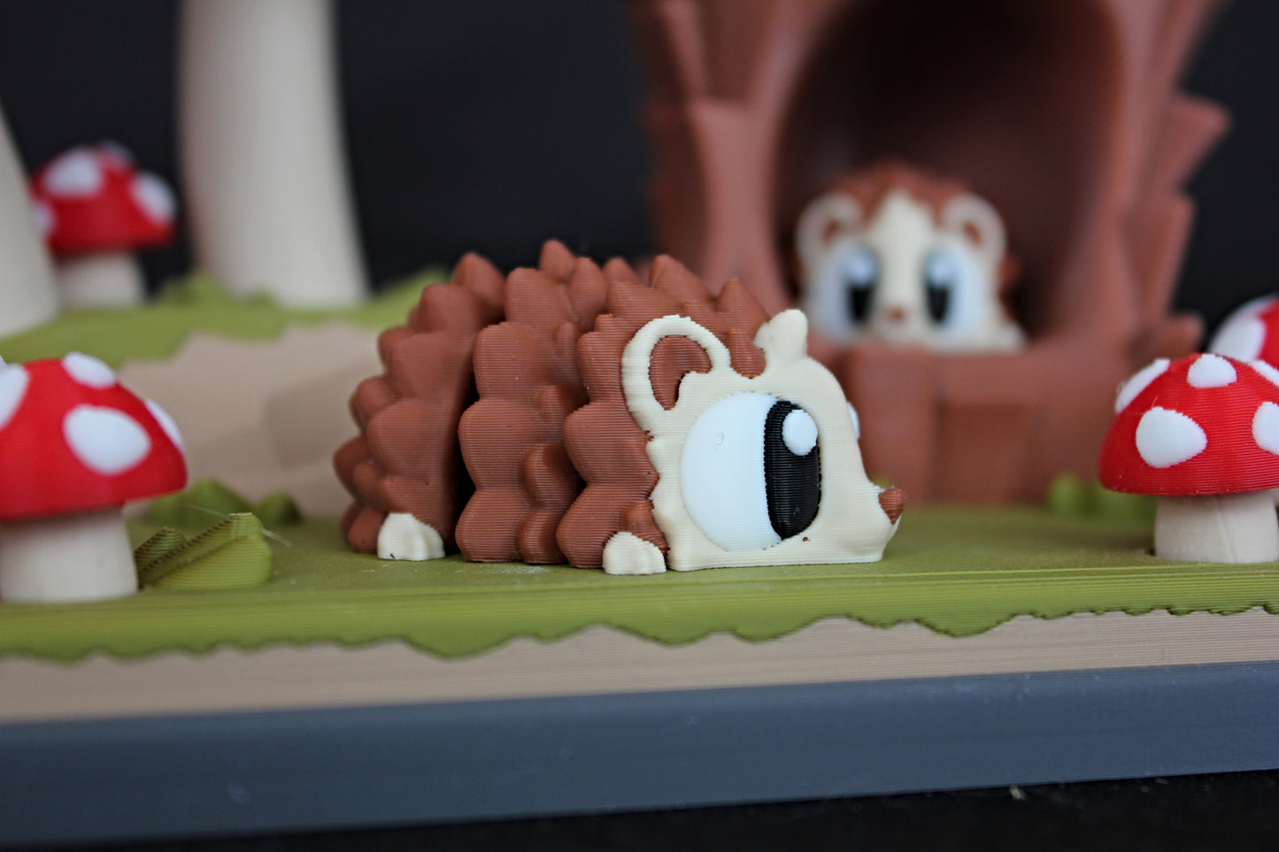 Hedgehog Habitat