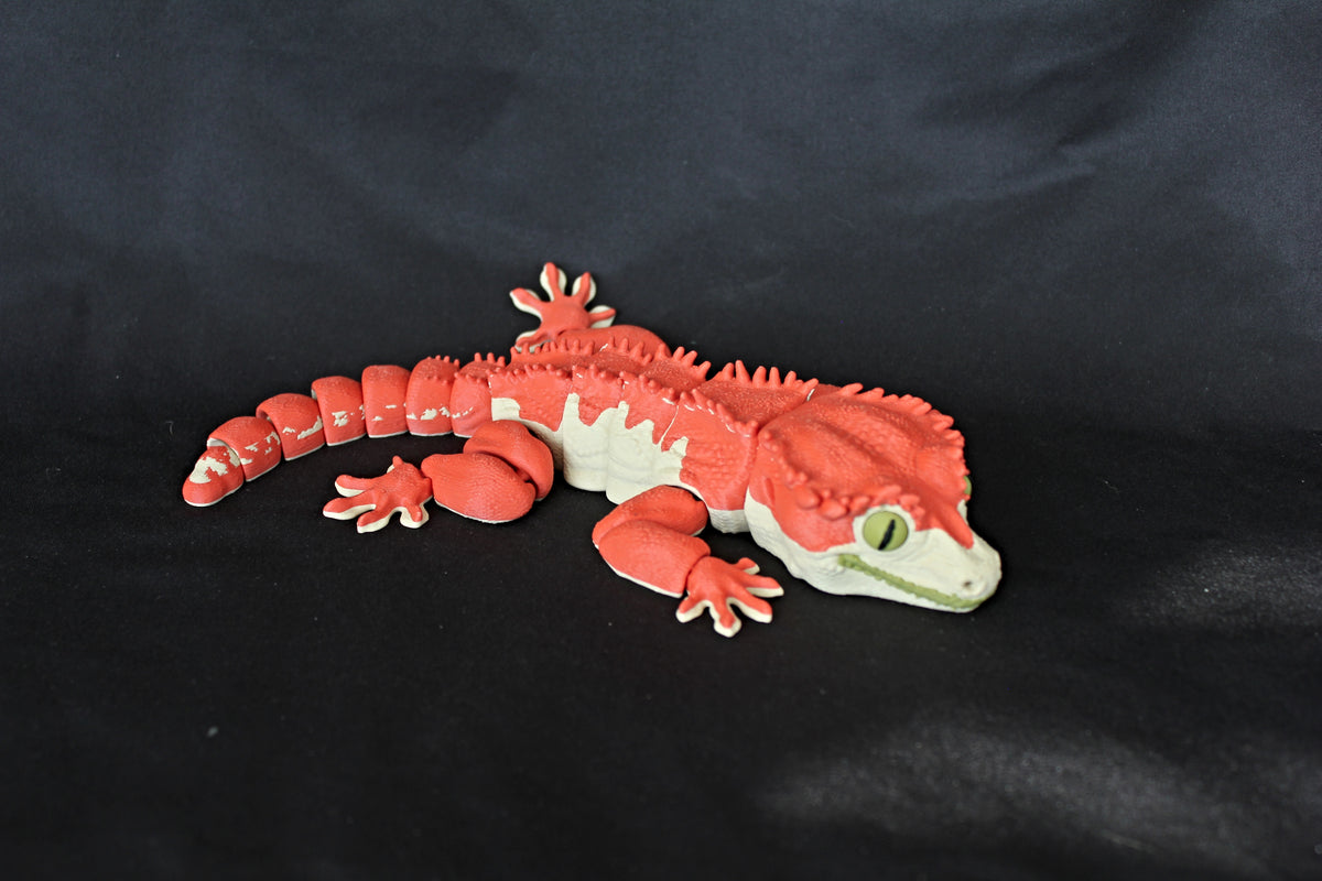 Crested Gecko