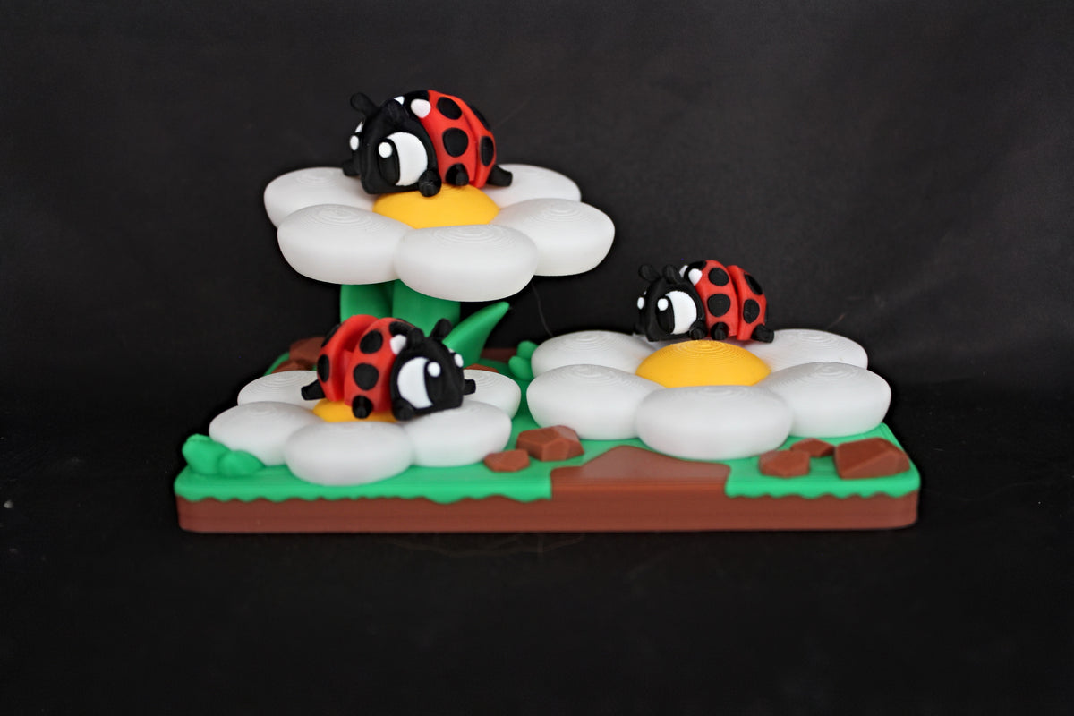 Ladybug Habitat