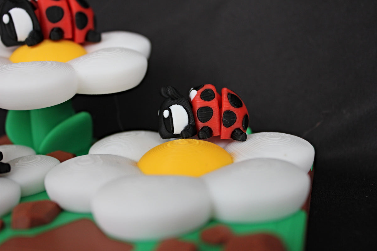 Ladybug Habitat