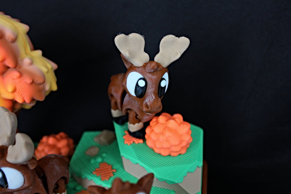 Moose Habitat