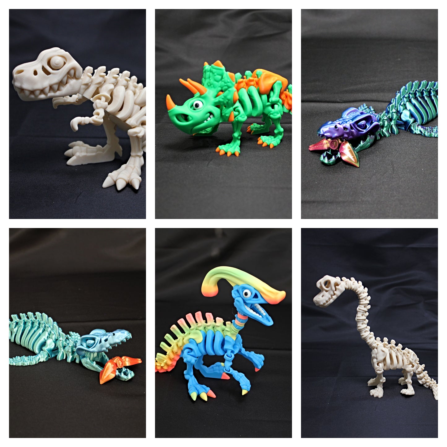 Flexi Dinosaur Skeletons