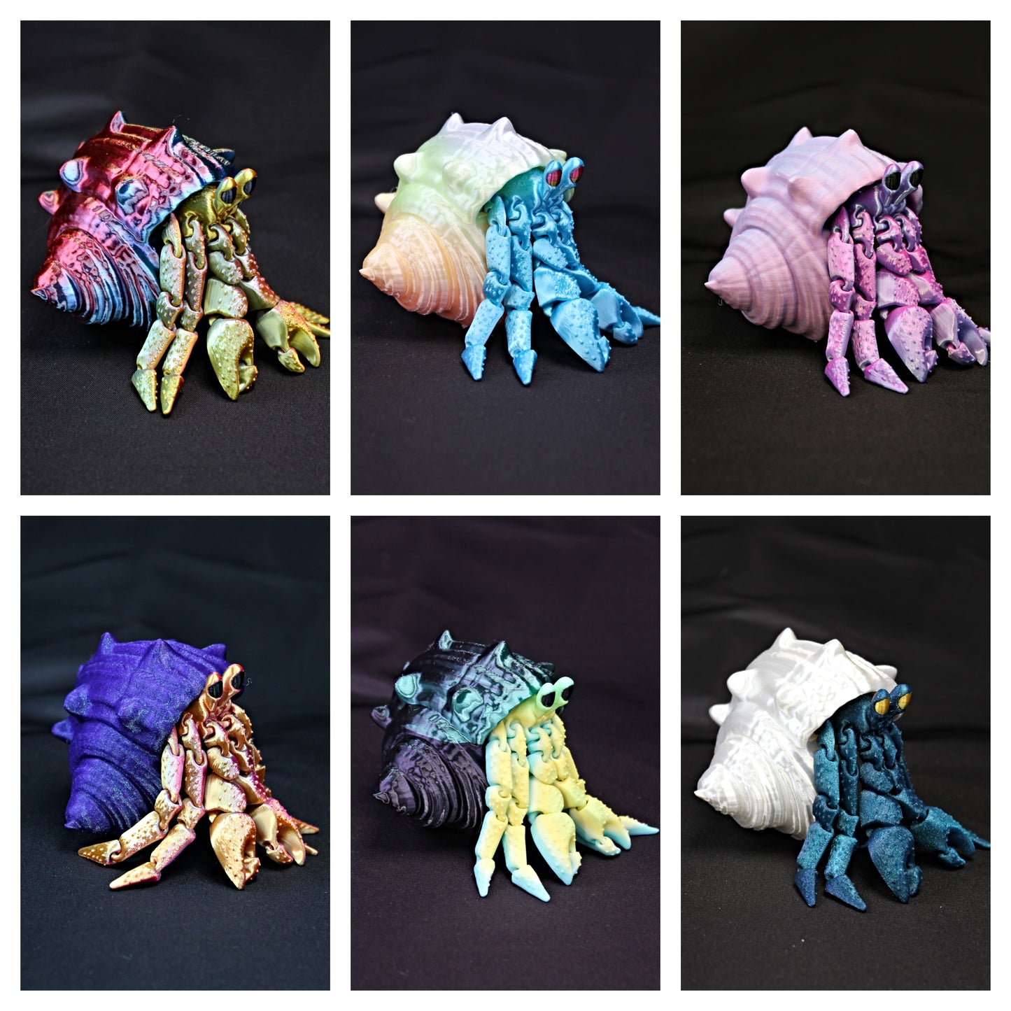 Hermit Crabs